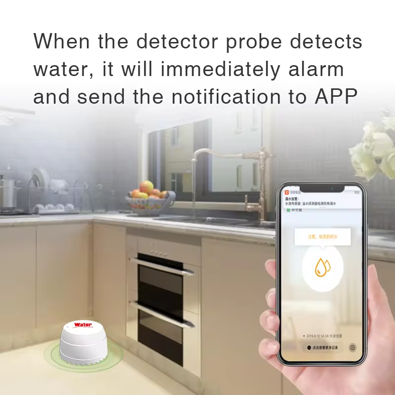Tuya detektor kebocoran air Wi - Water Alarm Sensor ulasan dan harga
